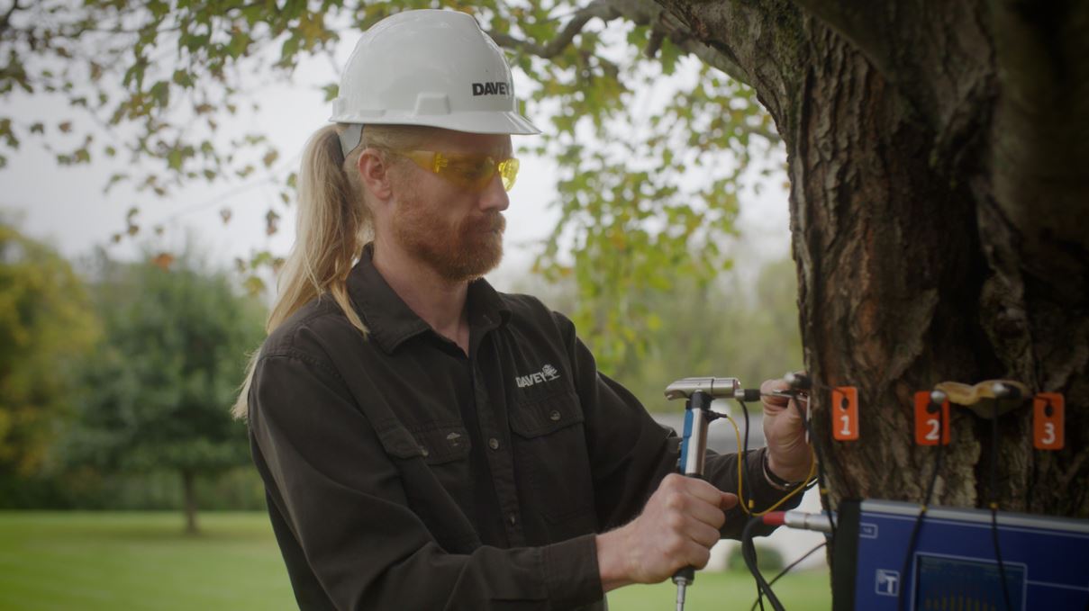 Sonic Tomography Risk Assessment