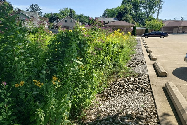 Stormwater Runoff Green Infrastructure